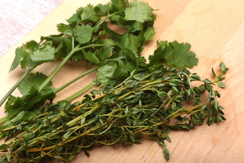 Свежие зеленые cilantro, листья кориандра и розмариновое масло на деревянном столе стоковая фотография Свежие зеленые cilantro, листья кориандра и розмариновое масло на деревянном столе стоковая фотография