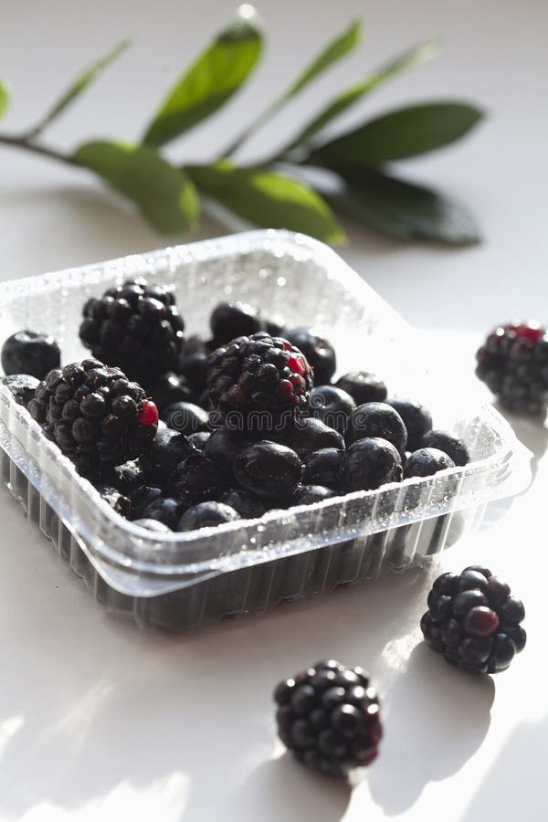 Свежие зрелые сладкие blackcurrants на предпосылке Уайта стоковая фотография Свежие зрелые сладкие blackcurrants на предпосылке Уайта стоковая фотография