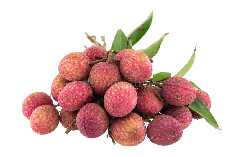 свежие изолированные lychees стоковое изображение