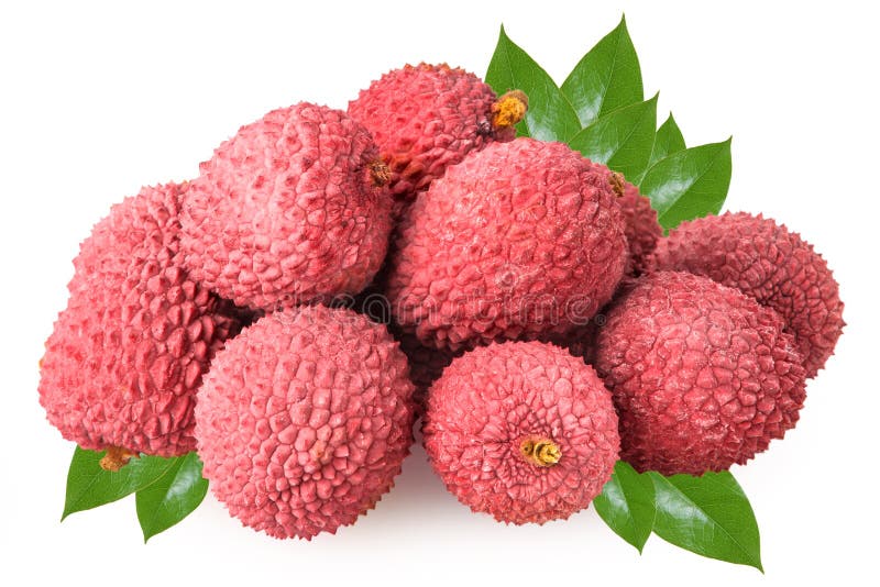 свежие изолированные lychees белые стоковая фотография