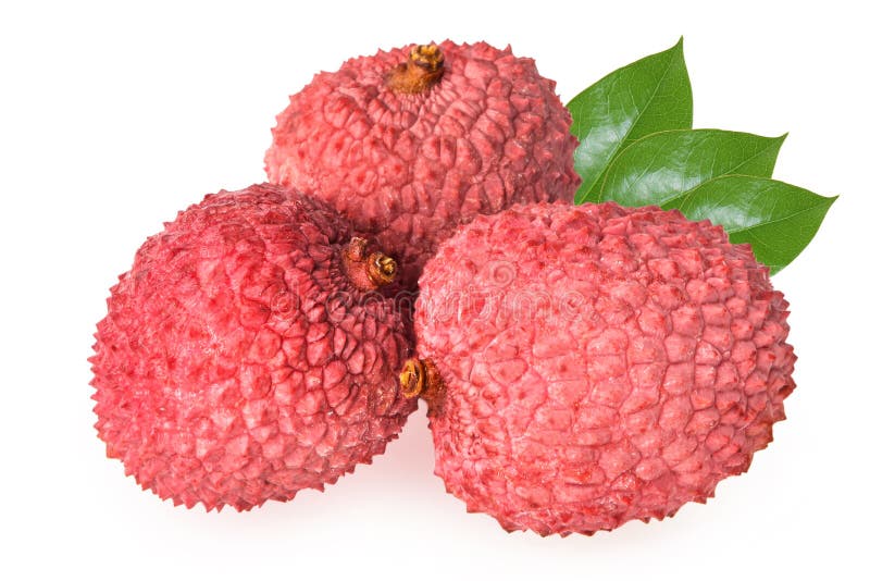 свежие изолированные lychees белые стоковое фото