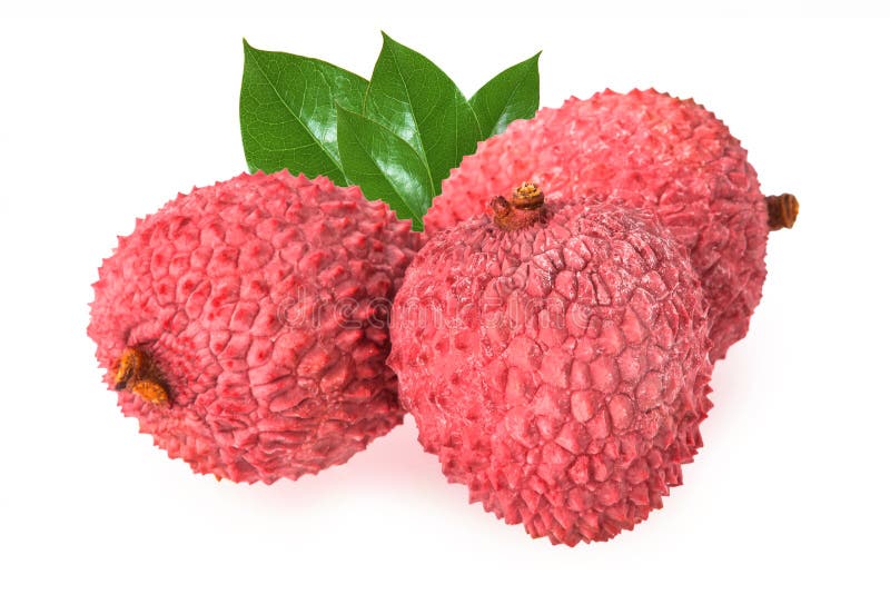 свежие изолированные lychees белые стоковые изображения