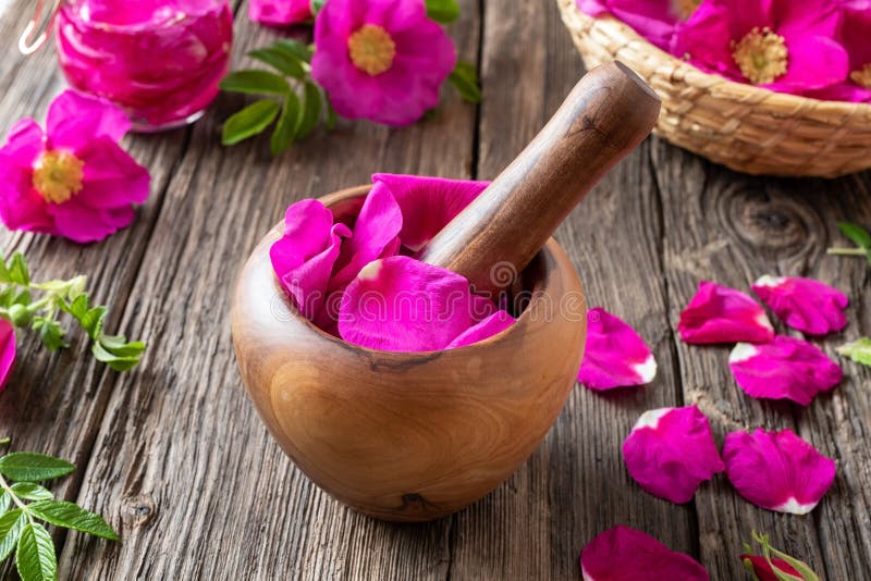 Свежие лепестки rugosa rosa в деревянном миномете стоковые фотографии rf Свежие лепестки rugosa rosa в деревянном миномете стоковые фотографии rf