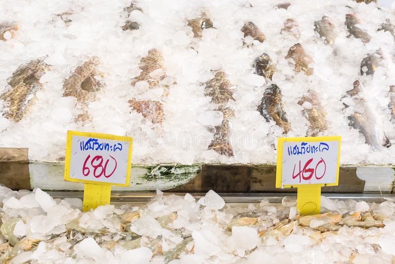 Свежие рыбы соленой воды в рынке. Свежие рыбы соленой воды продали в рынке морепродуктов