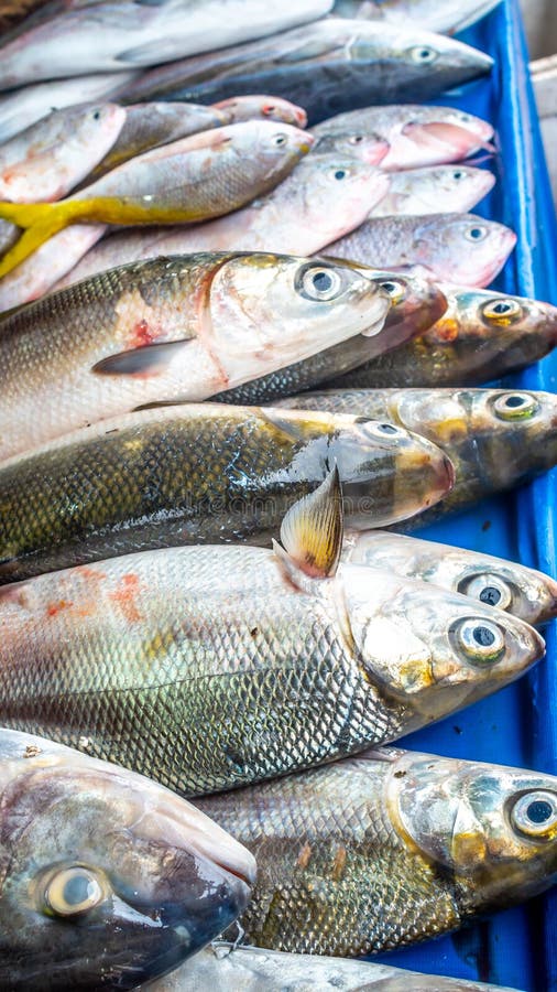 Свежие рыбы соленой воды продали на традиционном рынке в Индонезии стоковые изображения rf