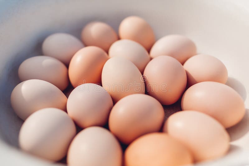 Свежие яйца собранные в шаре Органический продукт для здоровой еды стоковые фотографии rf