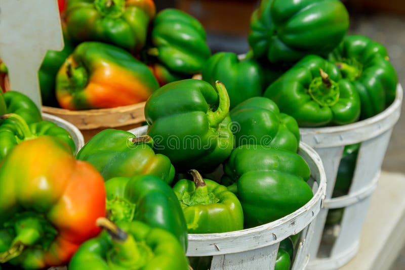 Свежий capsicum желтого цвета, апельсина, зеленых и красных органический болгарских перцев на дисплее для продажи стоковые фотографии rf Свежий capsicum желтого цвета, апельсина, зеленых и красных органический болгарских перцев на дисплее для продажи стоковые фотографии rf