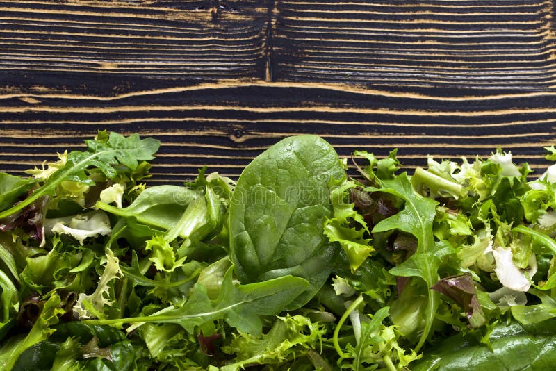 Свежий зеленый салат с шпинатом, arugula и салатом стоковое фото rf Свежий зеленый салат с шпинатом, arugula и салатом стоковое фото rf