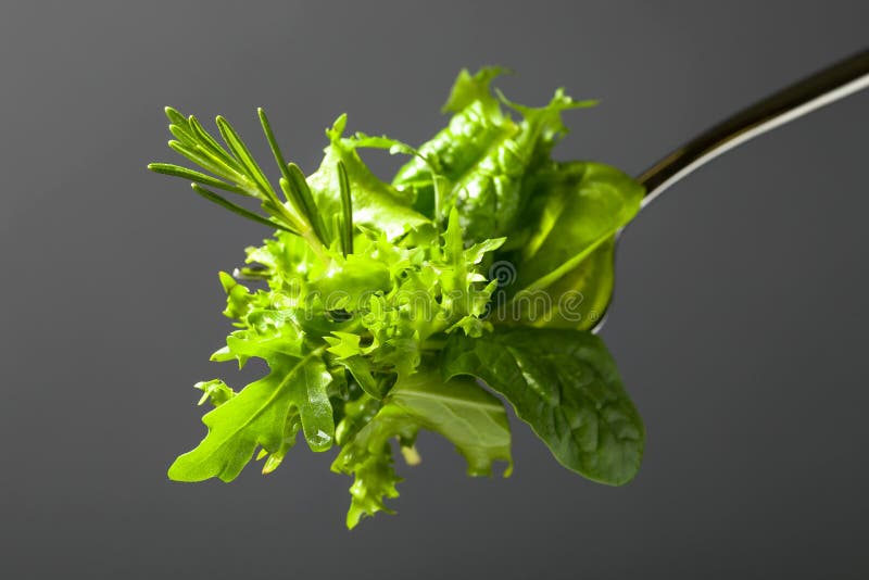 Свежий зеленый салат со шпинатом, arugula и салатом стоковое изображение rf Свежий зеленый салат со шпинатом, arugula и салатом стоковое изображение rf