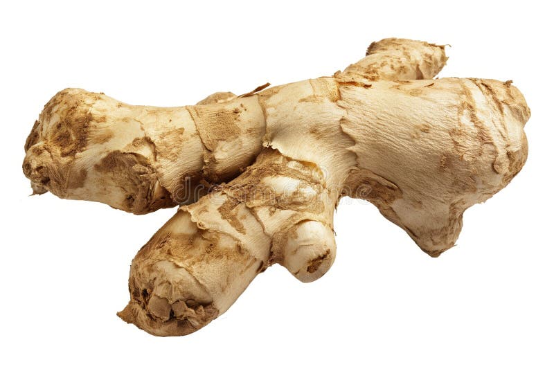A single piece of fresh ginger root isolated on a white background showcasing its texture and natural shape AI generated. A single piece of fresh ginger root isolated on a white background showcasing its texture and natural shape AI generated