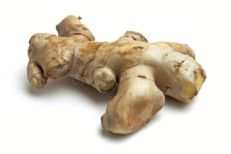Single ginger root with visible textures and details, isolated on a white backdrop AI generated. Single ginger root with visible textures and details, isolated on a white backdrop AI generated