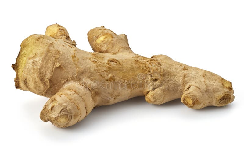 Organic ginger root isolated on white, highlighting its earthy texture and natural shape AI generated. Organic ginger root isolated on white, highlighting its earthy texture and natural shape AI generated