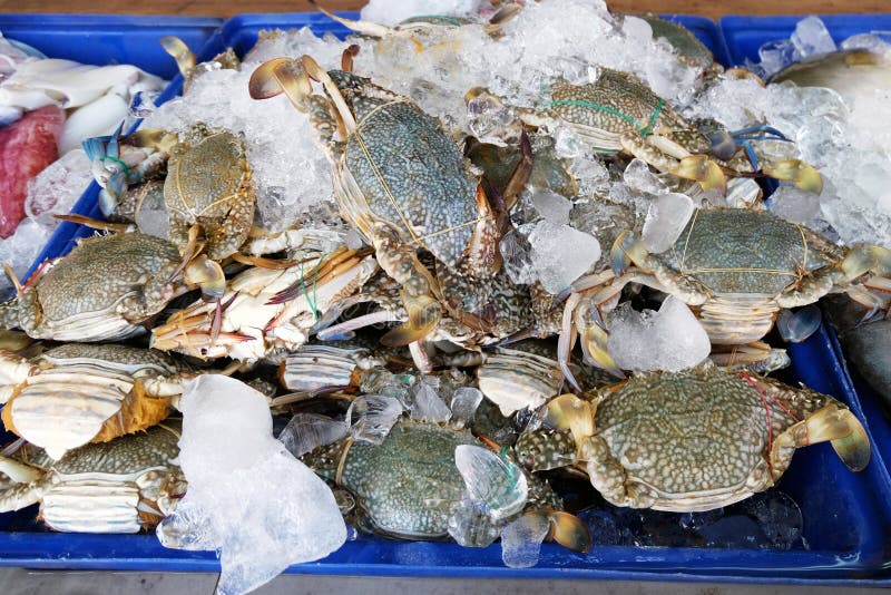 Свежий краб в рынке морепродуктов стоковое изображение Свежий краб в рынке морепродуктов стоковое изображение