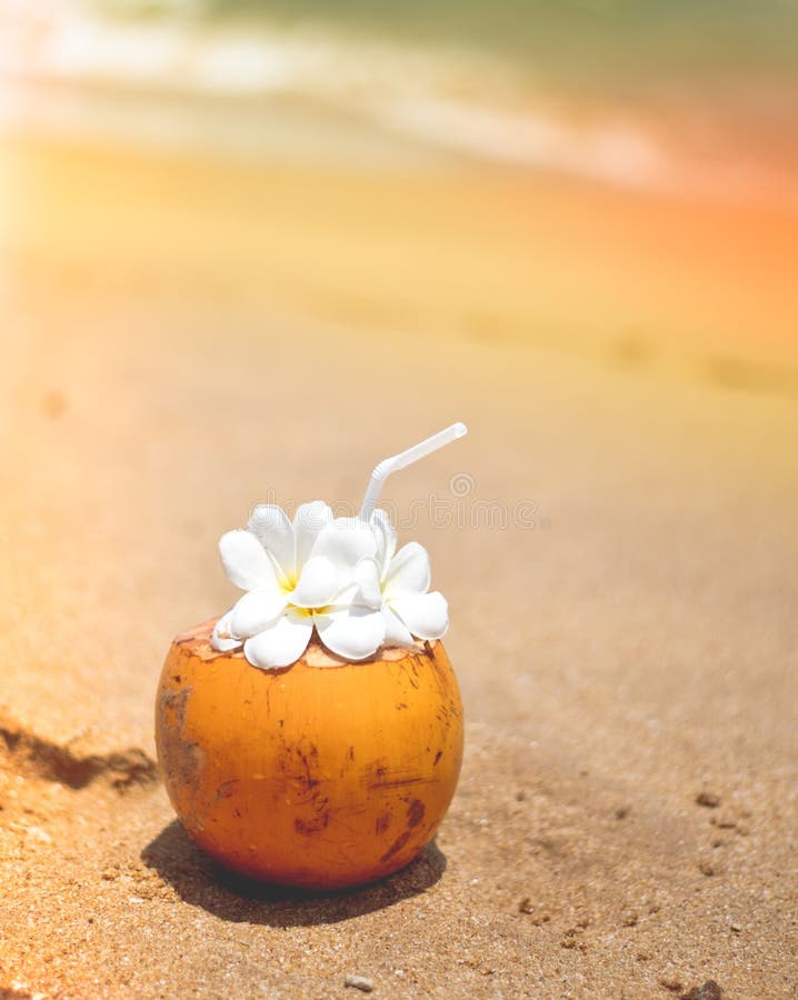 Свежий молодой оранжевый кокос с трубкой для напитков и цветков Plumeria в тропическом курорте около океана стоковая фотография rf