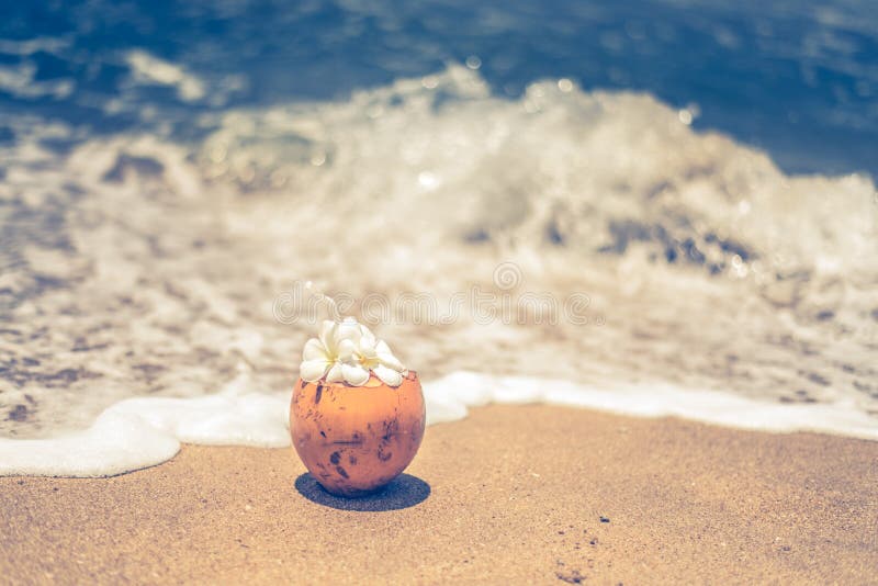 Свежий молодой оранжевый кокосовый орех с трубкой для напитков и цветов plumeria в тропическом курорте возле океана стоковое изображение rf