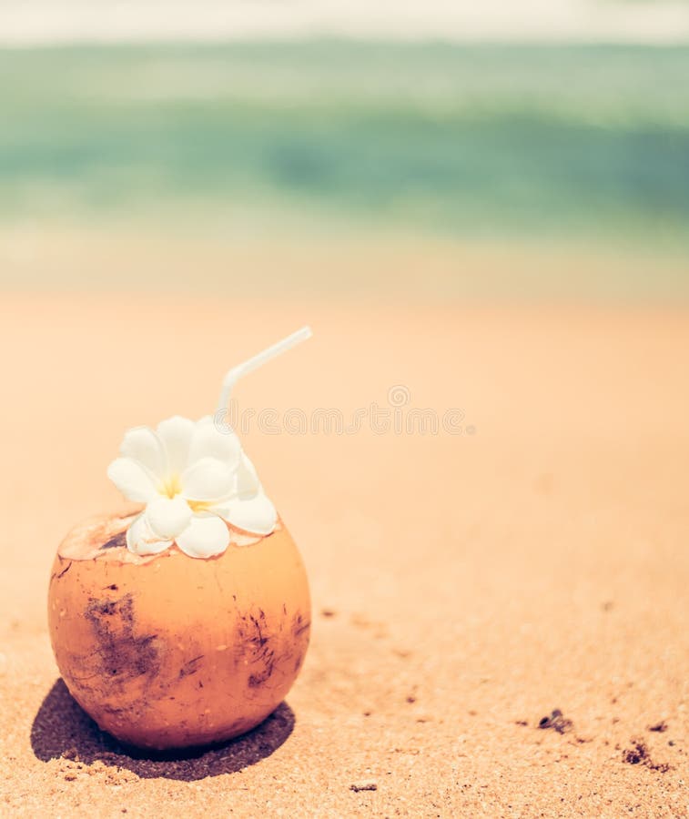 Свежий молодой оранжевый кокосовый орех с трубкой для напитков и цветов plumeria в тропическом курорте возле океана стоковые фото