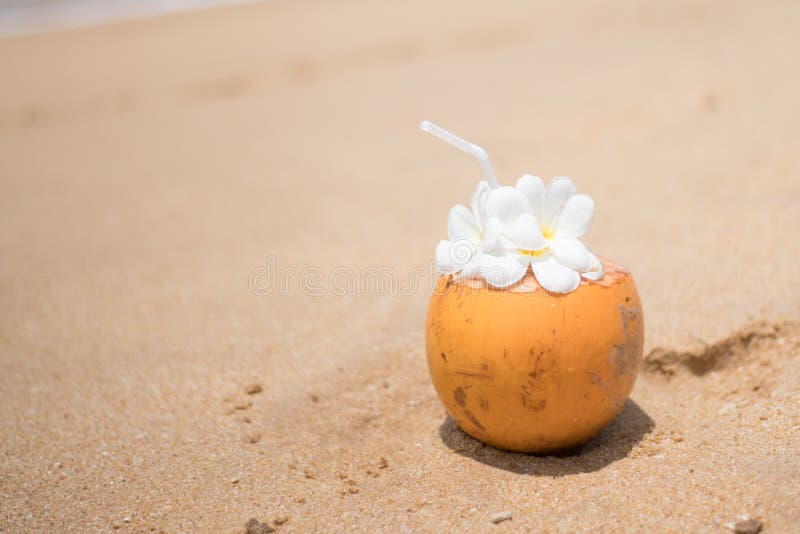 Свежий молодой оранжевый кокосовый орех с трубкой для напитков и цветов plumeria в тропическом курорте возле океана стоковое изображение