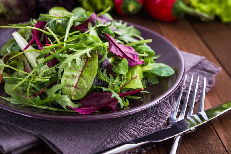 Свежий салат с смешанными зелеными цветами & x28; arugula, mesclun, mache& x29; на темном деревянном конце предпосылки вверх стоковые фотографии rf Свежий салат с смешанными зелеными цветами & x28; arugula, mesclun, mache& x29; на темном деревянном конце предпосылки вверх стоковые фотографии rf