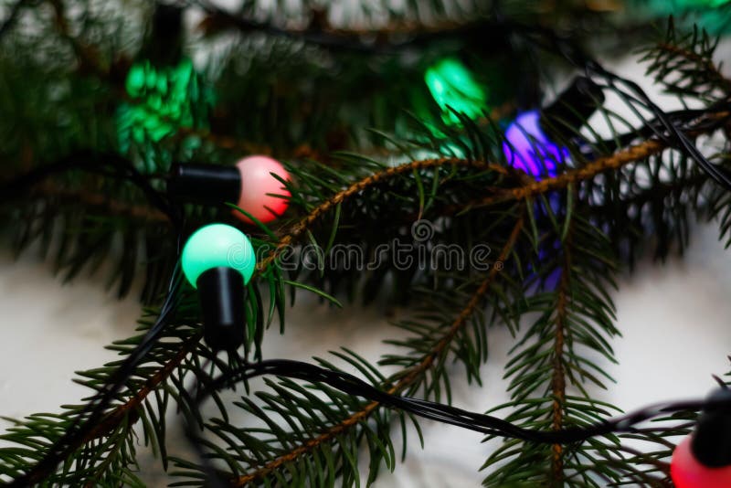 свернуть фокусировку веток дерева с ярко-зеленым и фиолетовым светом в качестве фона. много лампочек