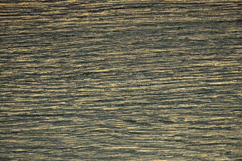 Lightened dark oak, close-up of a flat polished natural wood surface. Background, pattern, texture. Lightened dark oak, close-up of a flat polished natural wood surface. Background, pattern, texture