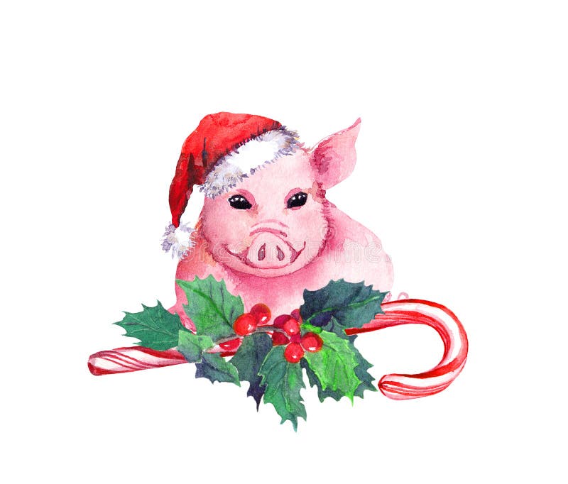 Свинья характера в красной шляпе праздника с тросточкой конфеты, омелой xmas Акварель для рождества, Нового Года 2019 иллюстрация вектора Свинья характера в красной шляпе праздника с тросточкой конфеты, омелой xmas Акварель для рождества, Нового Года 2019 иллюстрация вектора