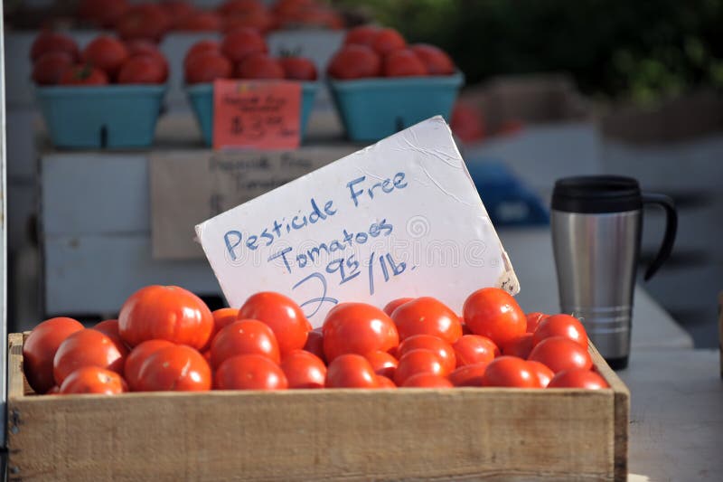 Farmers market pesticide free tomatoes with a coffee cup in the background. Farmers market pesticide free tomatoes with a coffee cup in the background