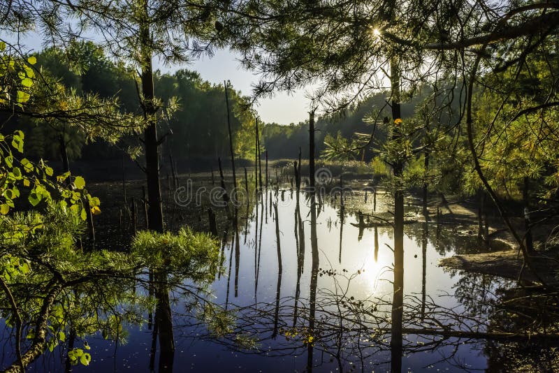 Свод Muskau - парк geo - шахта babina стоковая фотография rf Свод Muskau - парк geo - шахта babina стоковая фотография rf