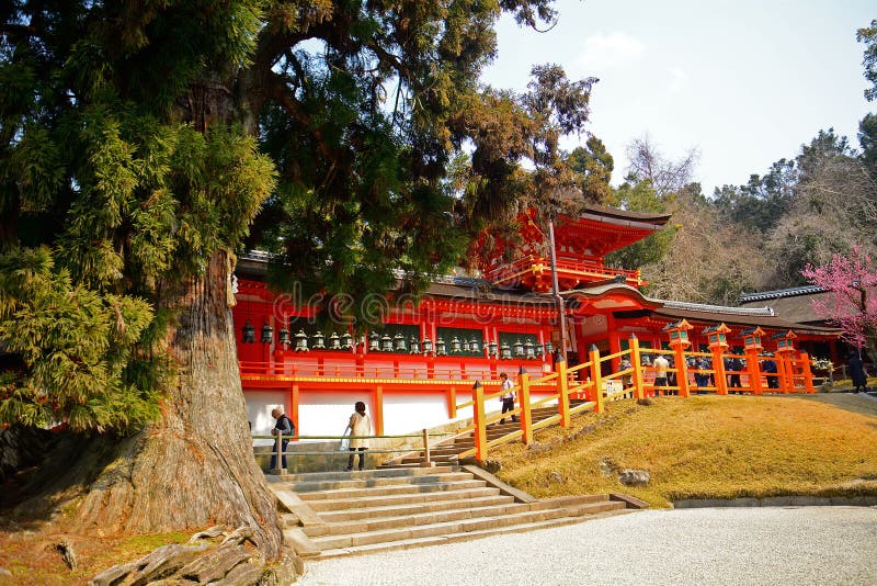 Святыня Kasuga Taisha синтоистская, Nara, Япония стоковая фотография rf