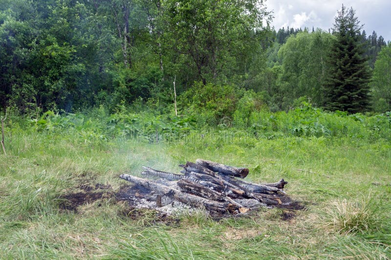 Сгорели костер на зеленом glade, среди леса стоковые фотографии rf Сгорели костер на зеленом glade, среди леса стоковые фотографии rf