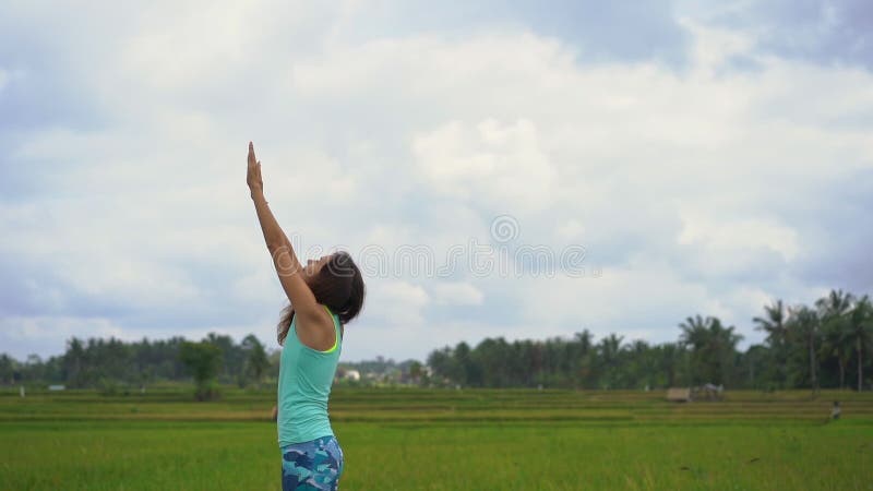 Сдвиг молодой женщины, практикующей йогу на красивом рисовом поле