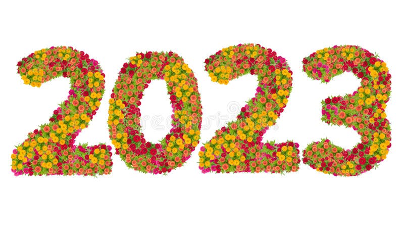 2023 сделали от цветков Zinnias стоковое фото rf 2023 сделали от цветков Zinnias стоковое фото rf