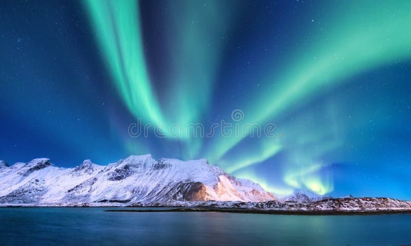 Северное сияние на островах Lofoten, Норвегии Зеленое северное сияние над горами и берегом океана Ландшафт зимы ночи с стоковая фотография