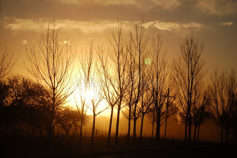 Countryside at sunset in western argentina. Countryside at sunset in western argentina