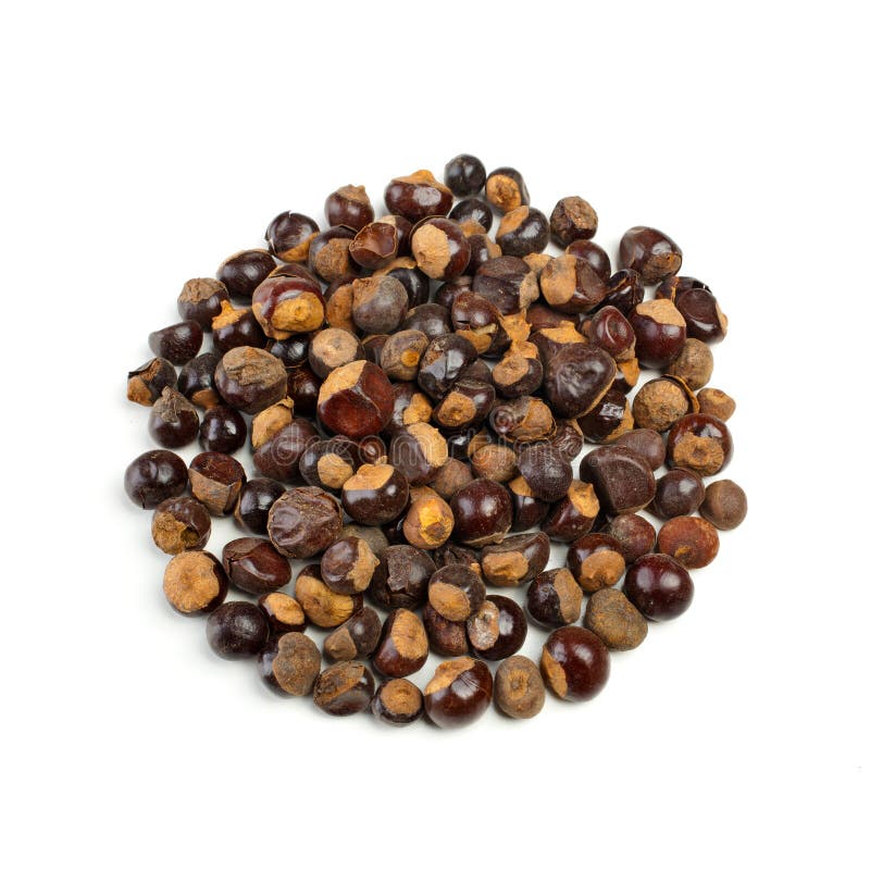 Семена Guarana стоковые изображения Семена Guarana стоковые изображения