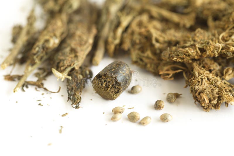 Семена конопли индийской что такое тнс у марихуаны
