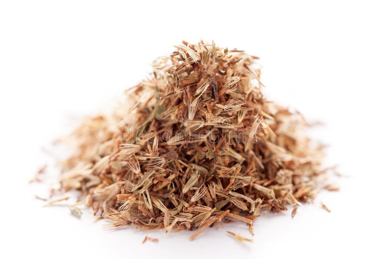 Семена травы Palmarosa (martinii Cymbopogon) стоковое изображение Семена травы Palmarosa (martinii Cymbopogon) стоковое изображение