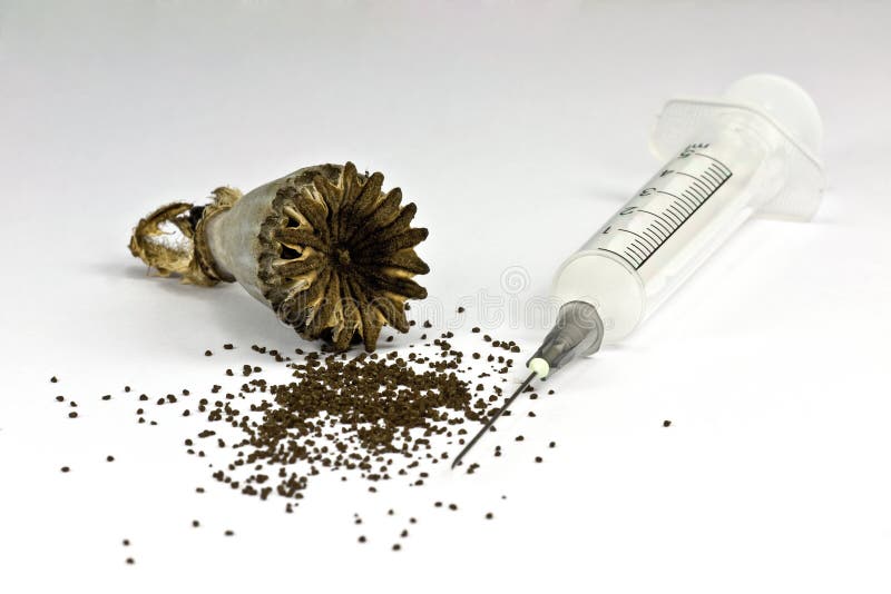 Close-up of opium poppy seed and a syringe on white background. Close-up of opium poppy seed and a syringe on white background