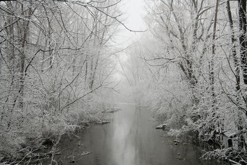 A forested river during a snow storm. A forested river during a snow storm