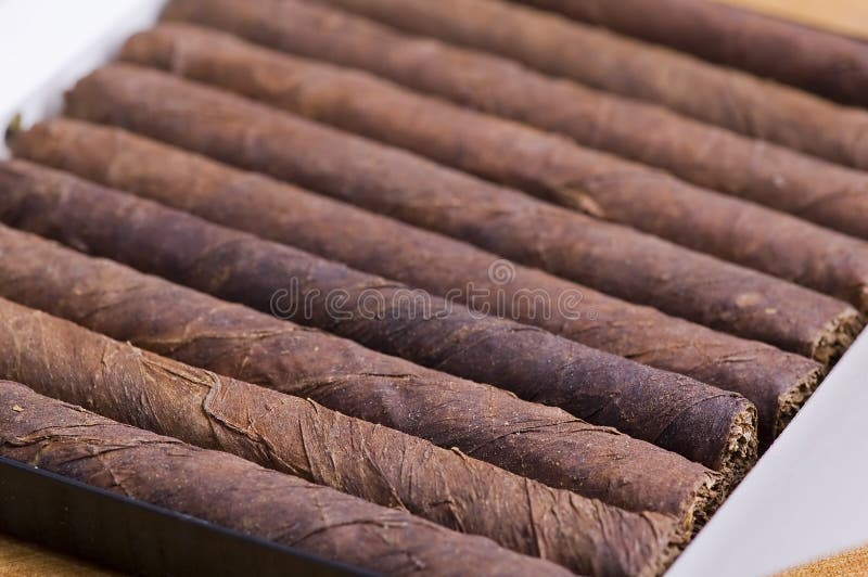 сигары коробки кубинские стоковые изображения сигары коробки кубинские стоковые изображения