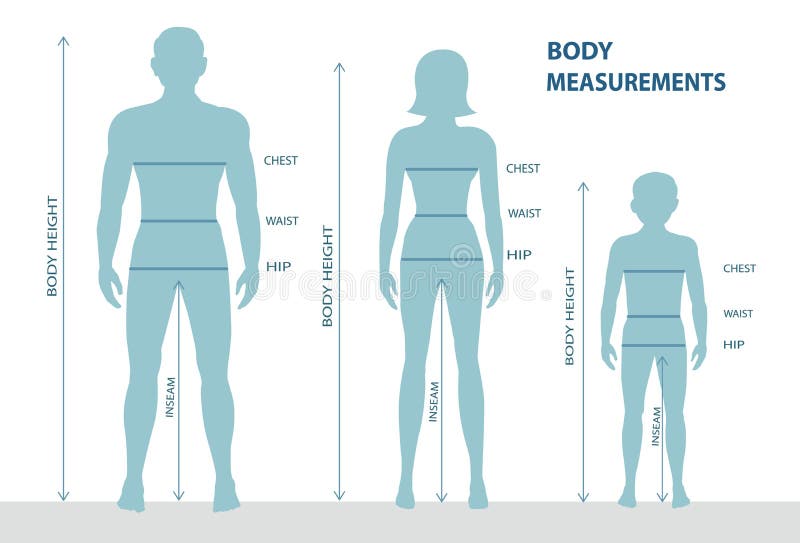 Medidas corporales mujer