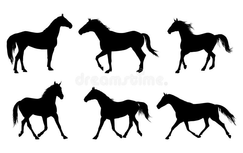 Vector set of horse silhouette. Vector set of horse silhouette