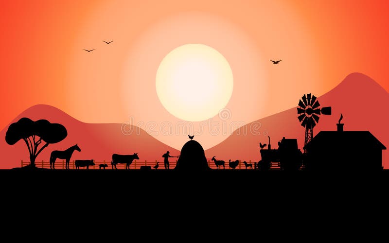 Vector illustration of a farm silhouette with a tractor and a ranch animals on the background of the evening sunset. The concept of farming and animal husbandry. Vector illustration of a farm silhouette with a tractor and a ranch animals on the background of the evening sunset. The concept of farming and animal husbandry.