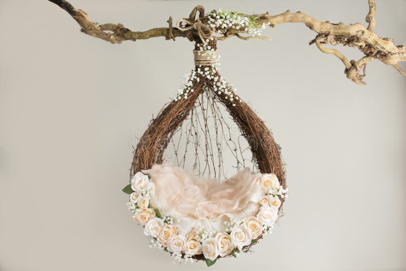 Симпатичная предпосылка для newborn младенца, концепция цветка newborn ба стоковое фото
