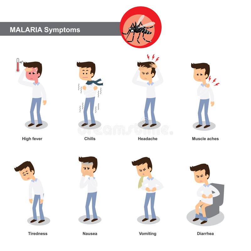 Симптомы малярии иллюстрация вектора. иллюстрации насчитывающей москит ...