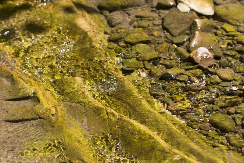 Olvitavit - Photographer profile