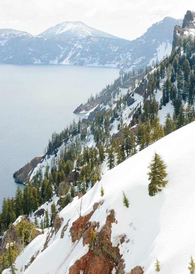 Forested cliffs surrounding Crater Lake. Forested cliffs surrounding Crater Lake