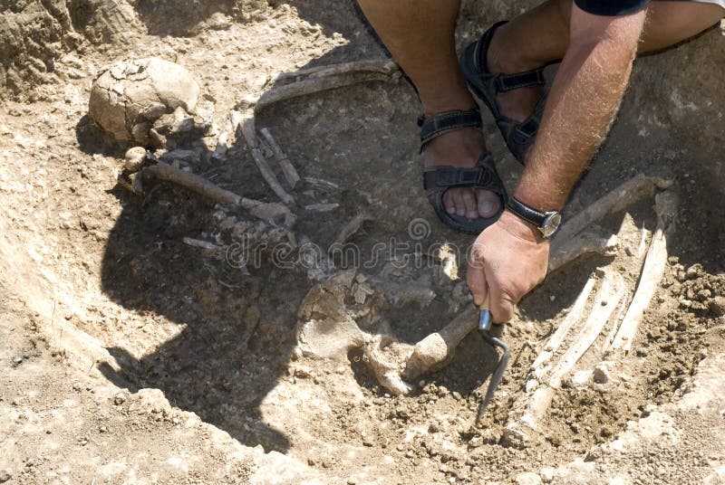Archaeologist excavating a grave buried skeleton. Archaeologist excavating a grave buried skeleton