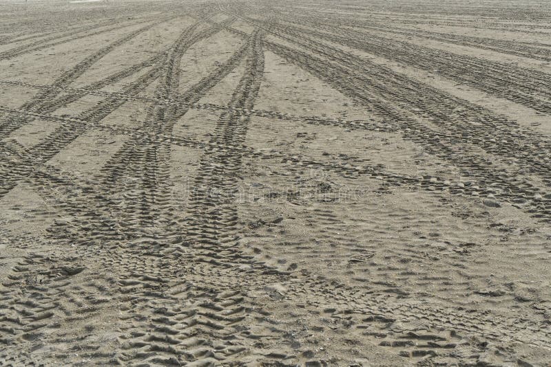 Tire tracks on the sand of the beach. Tire tracks on the sand of the beach