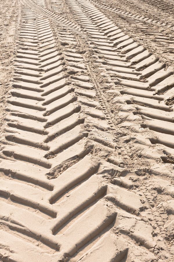 Tractor tire tracks on beach sand. Vertical shot. Tractor tire tracks on beach sand. Vertical shot