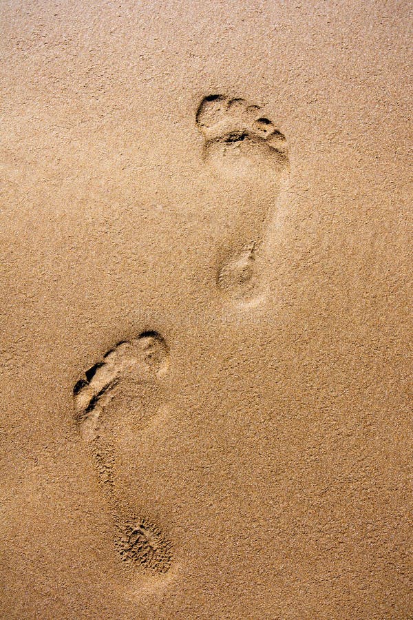 Human footprints in wet grainy beach sand. Human footprints in wet grainy beach sand